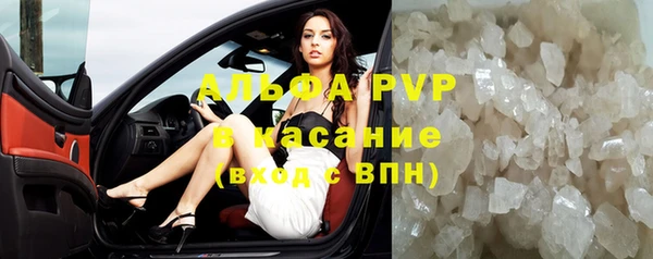 PSILOCYBIN Каменногорск