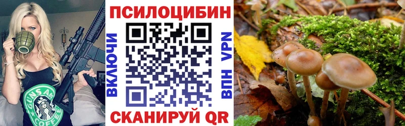 магазин продажи   Приволжск  Галлюциногенные грибы мухоморы 